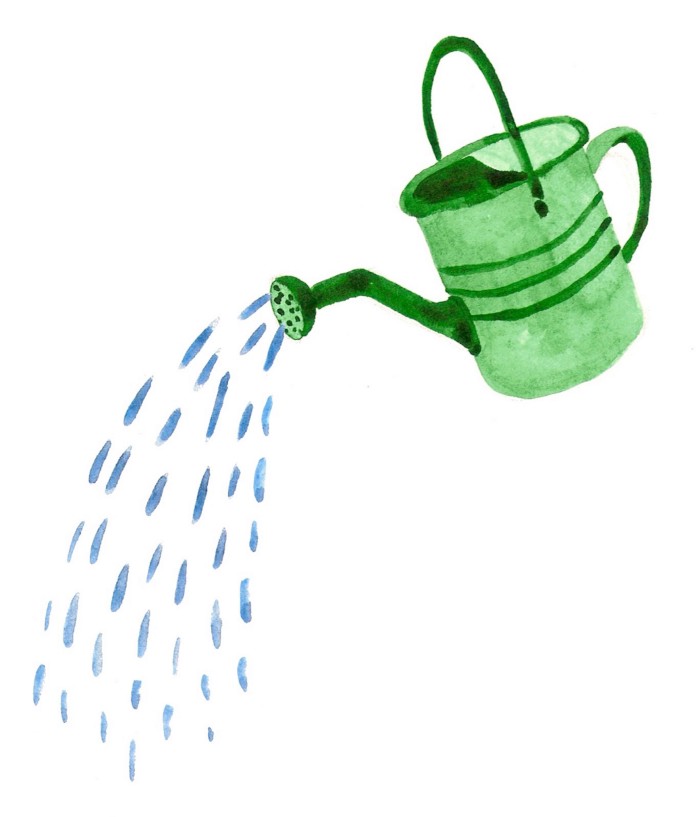 Watering can